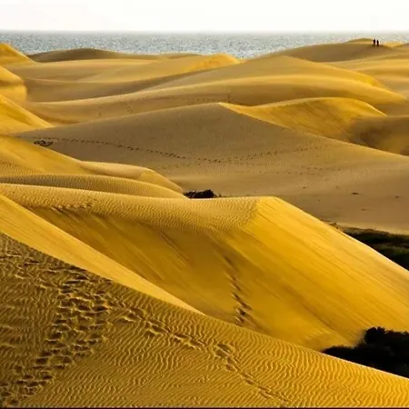 Maspalomas Dunes Daire Playa del Ingles (Gran Canaria)