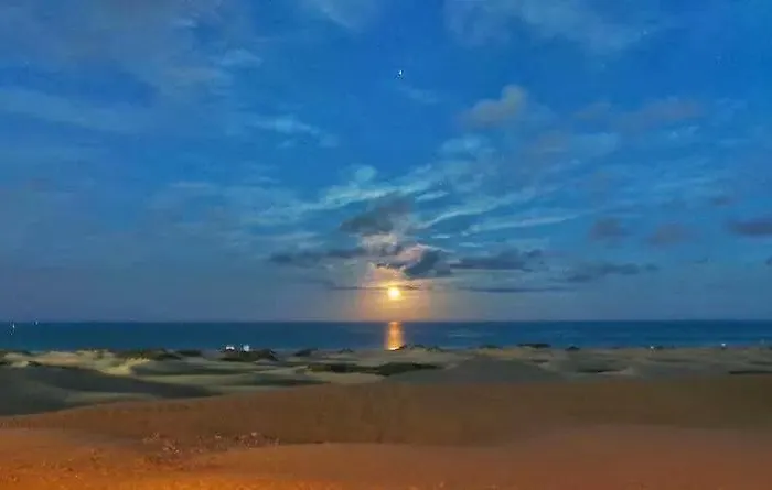 דירה Maspalomas Dunes