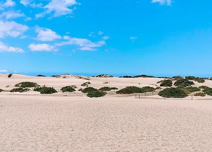 Maspalomas Dunes 플라야 델 잉글스